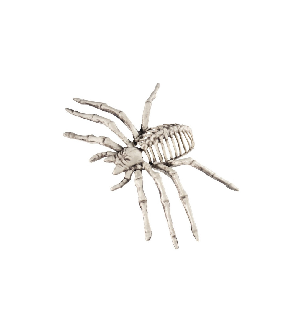 Dekorační kostra pavouka - malá
