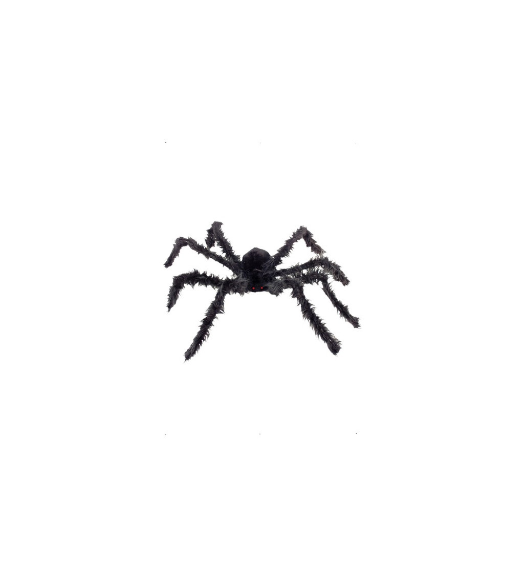 Černý giga pavouk
