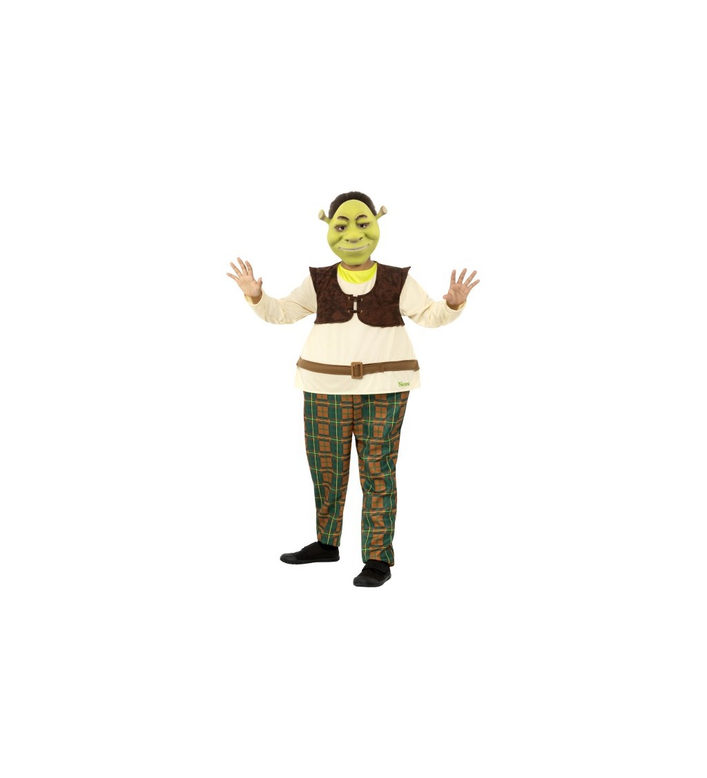 Luxusní dětský kostým Shrek