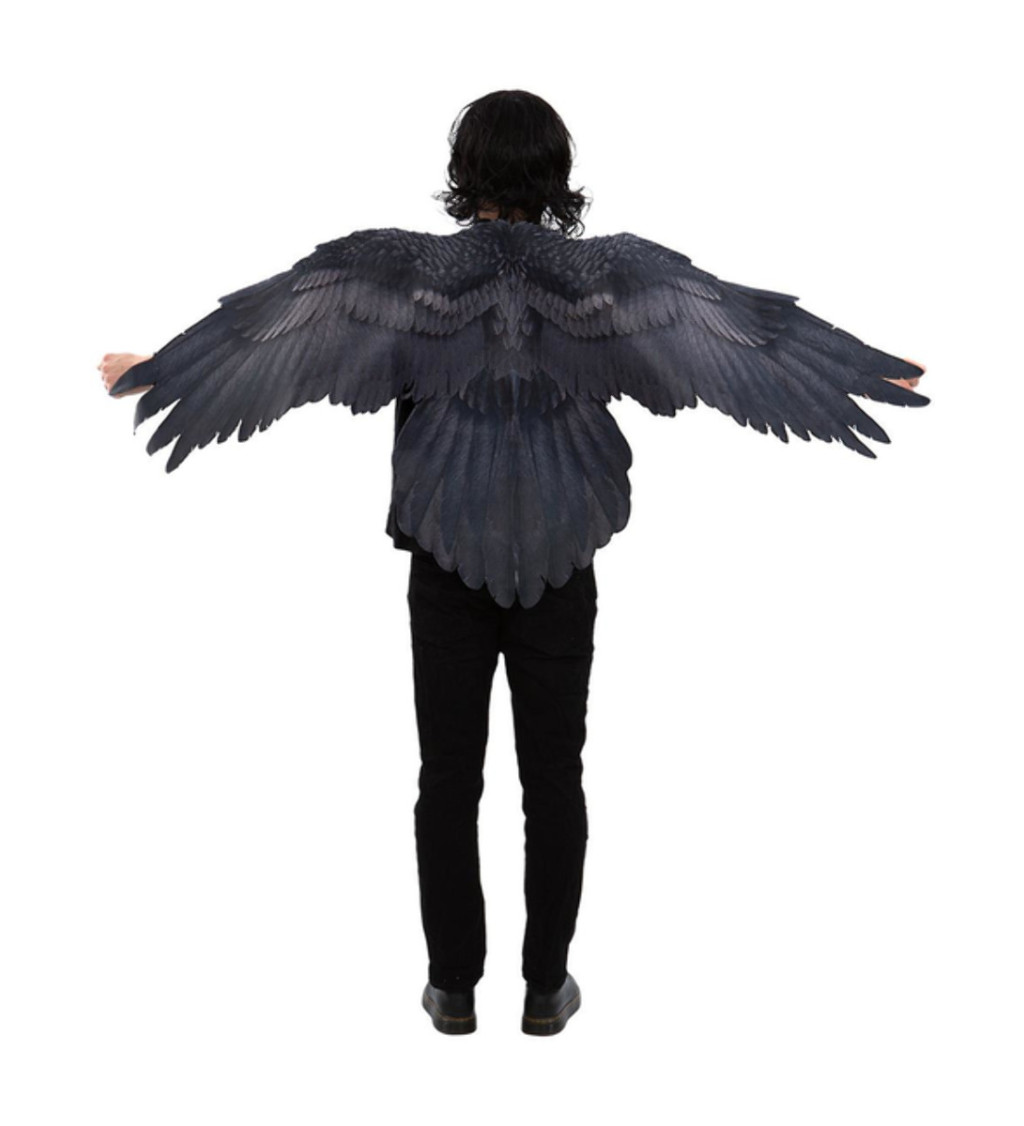 Havraní plášť s křídly