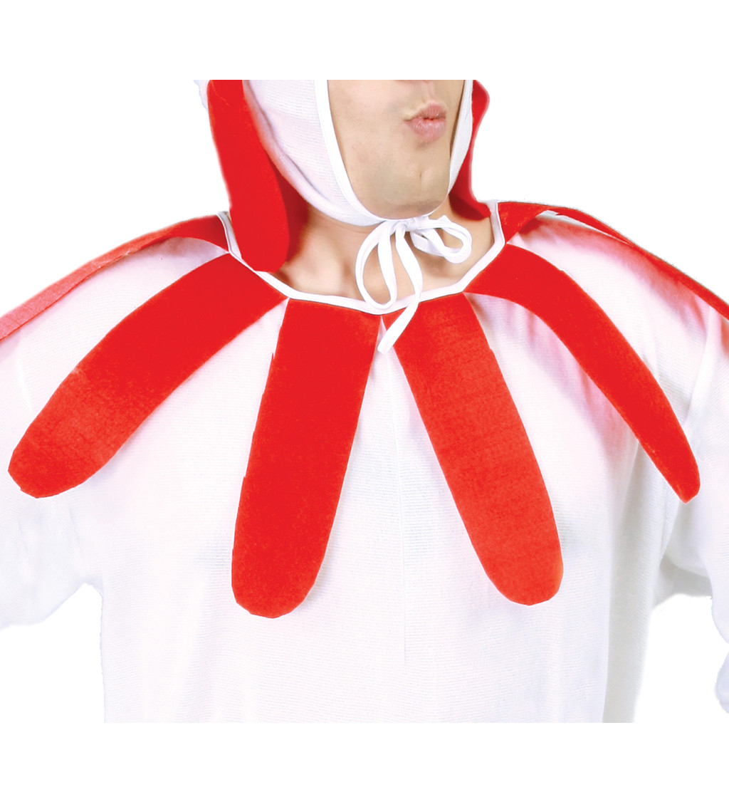 Pánský kostým Kuře