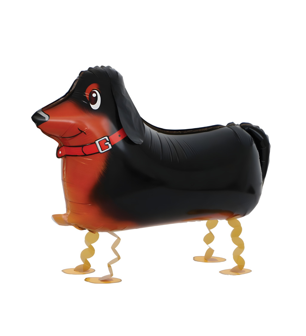 Chodící balónek jezevčík