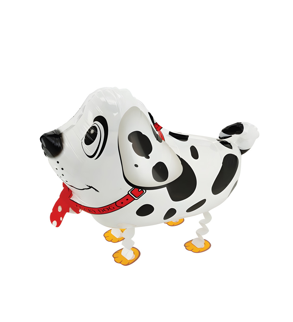 Chodící balónek dalmatin