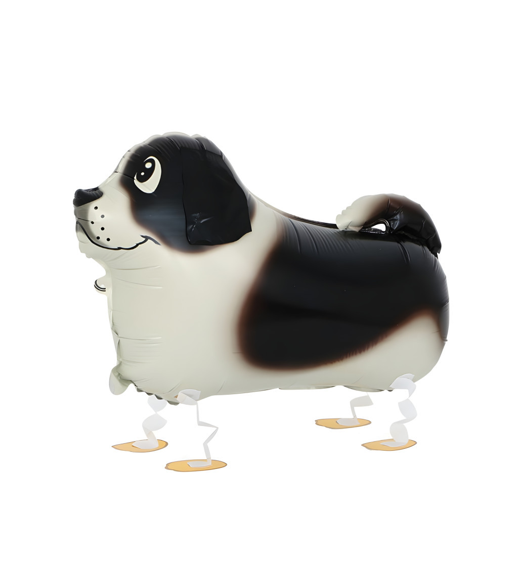 Chodící balónek pes
