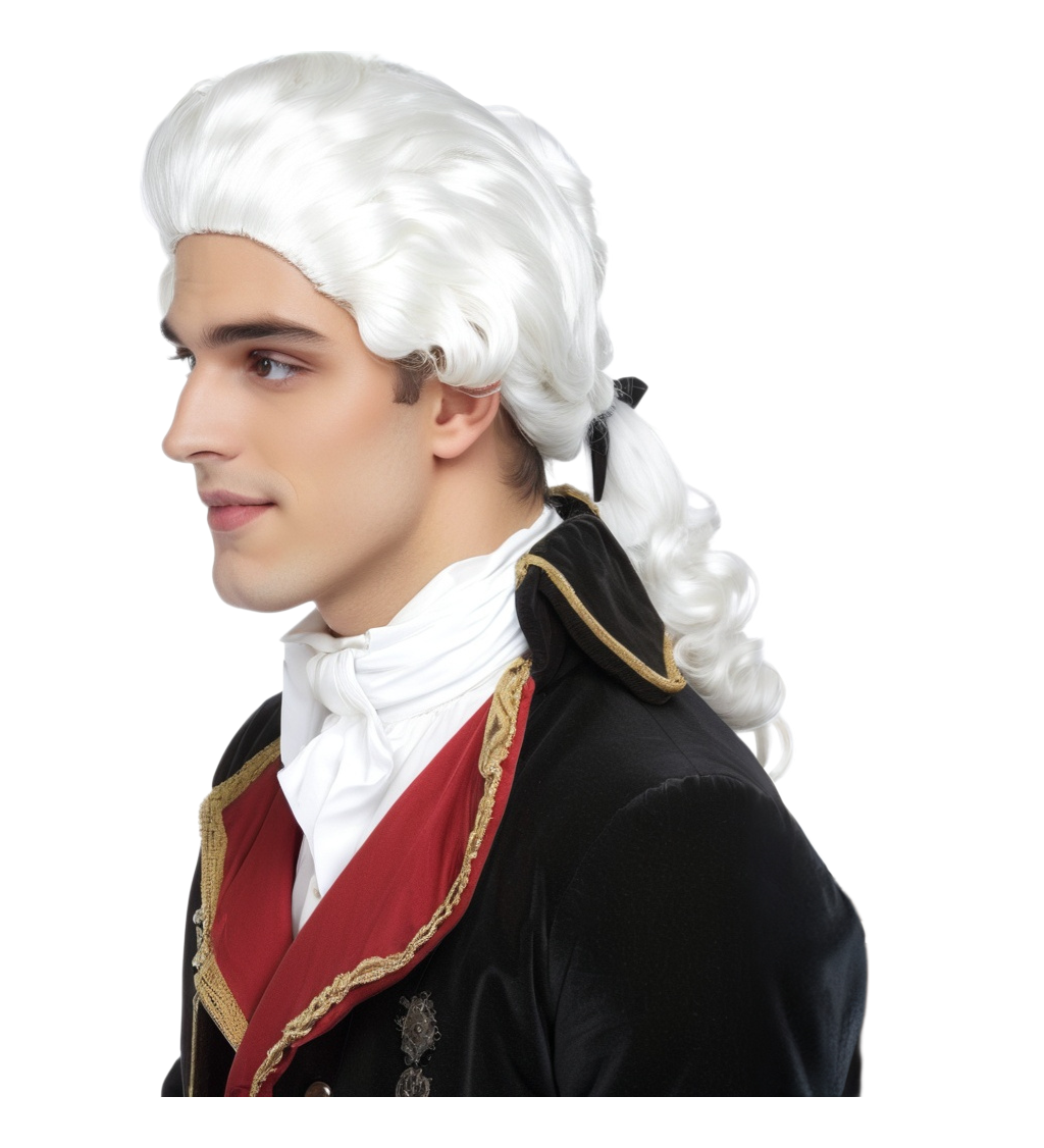 Pánská paruka - baroko
