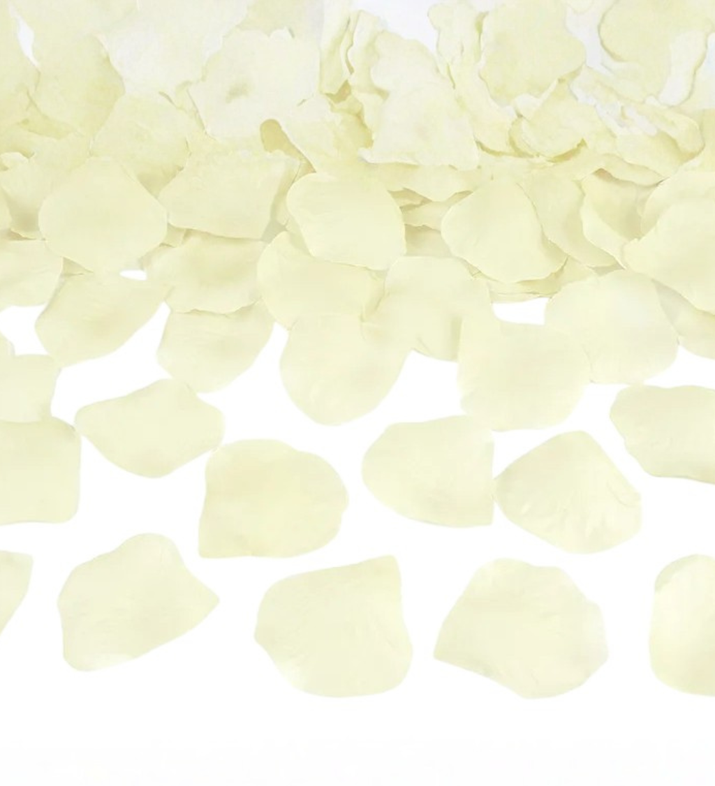 Krémové okvětní lístky růží 500 ks