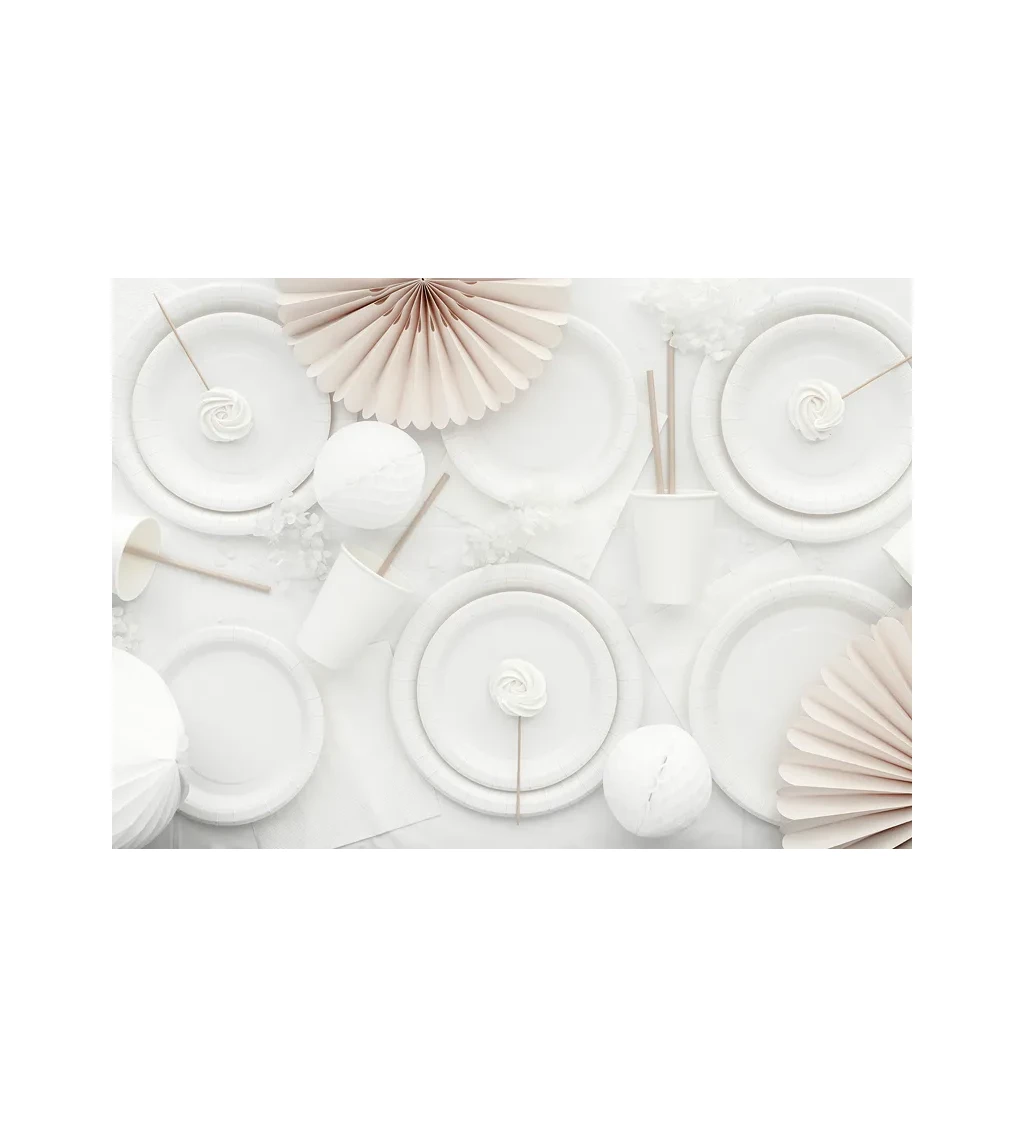 Papírové talířky bílé