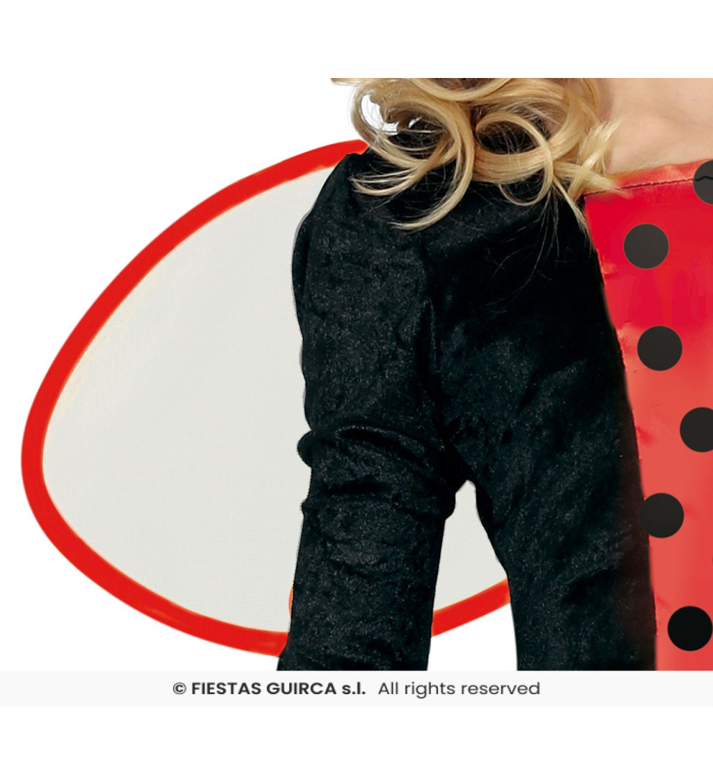 Dětský kostým Beruška