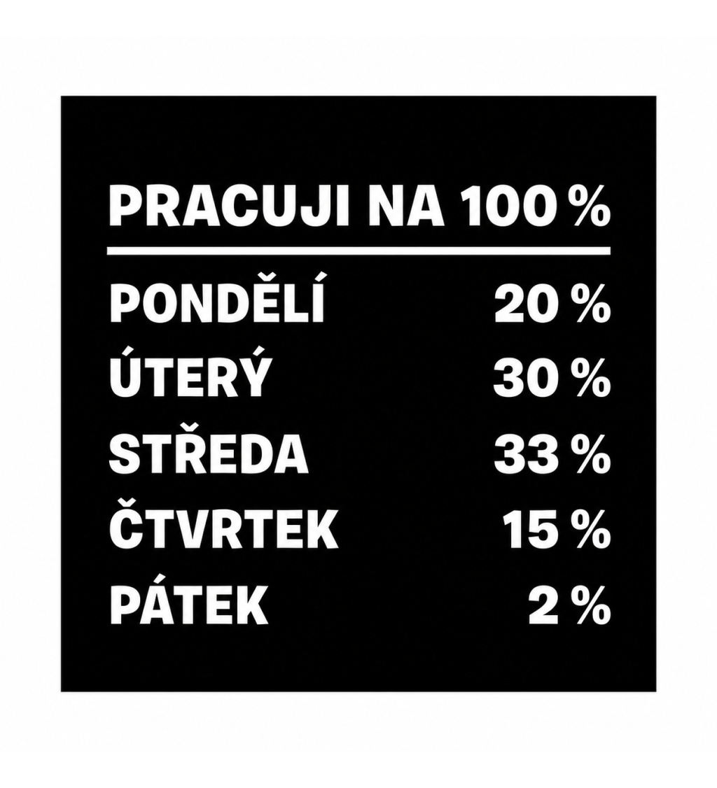 Dámské triko černé - Pracuji na 100 %