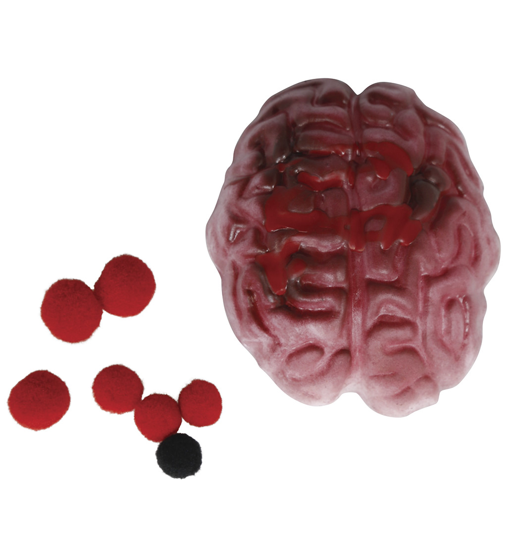 Mačkací orgán mix druhů 10 cm - 1 ks