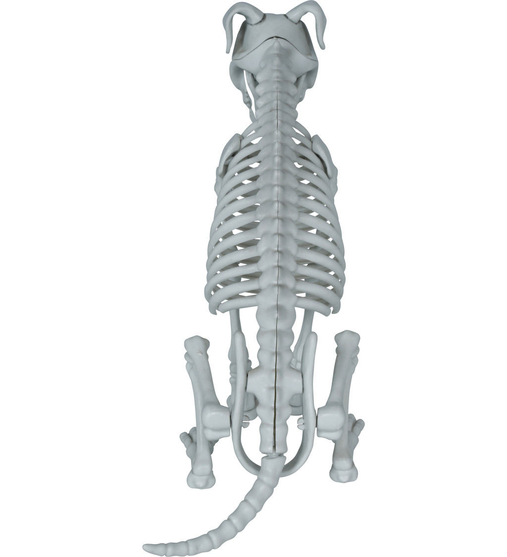 Kostra psa 38 cm