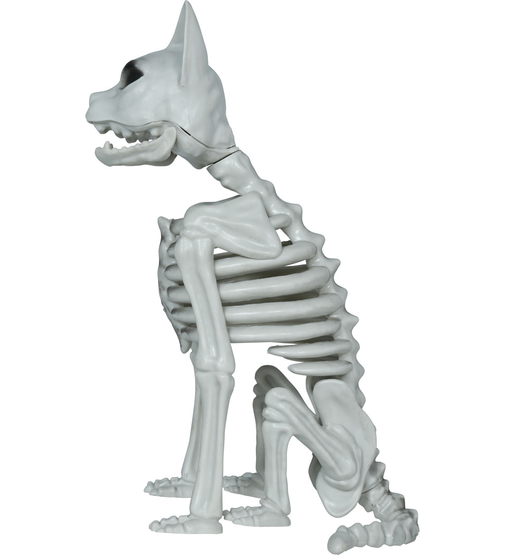Kostra kočky 37 cm