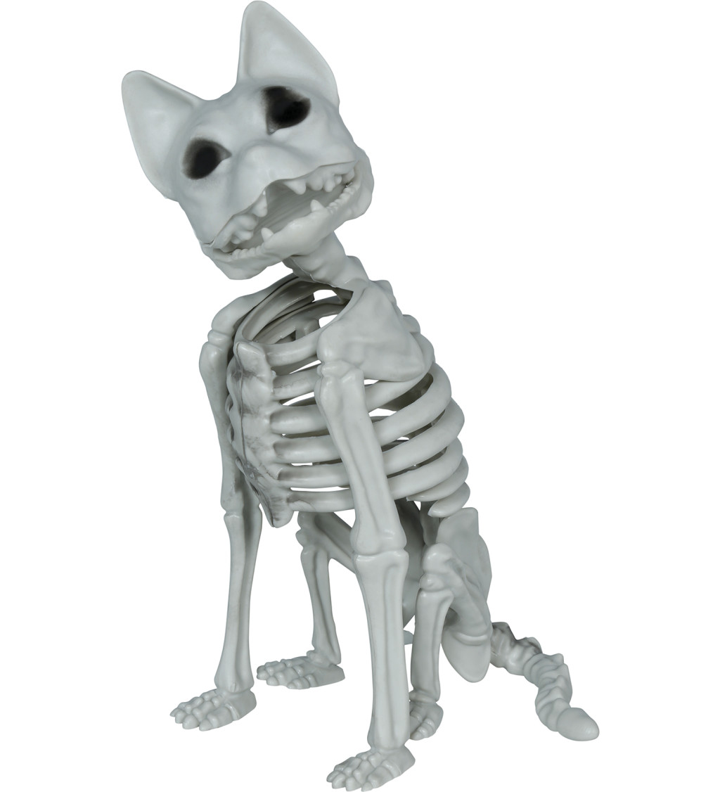 Kostra kočky 37 cm