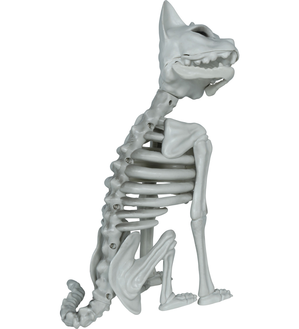 Kostra kočky 37 cm