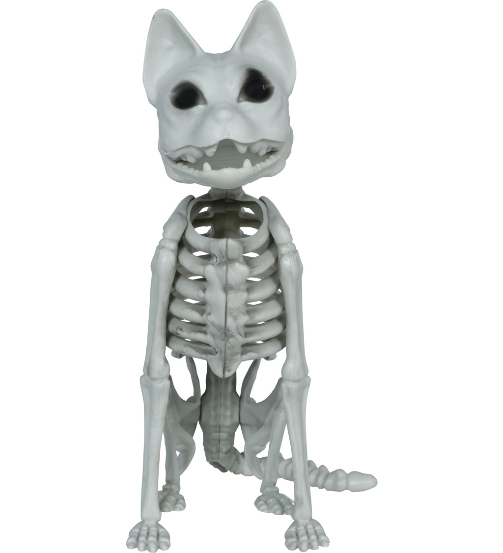 Kostra kočky 37 cm