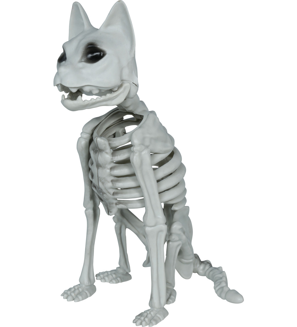 Kostra kočky 37 cm