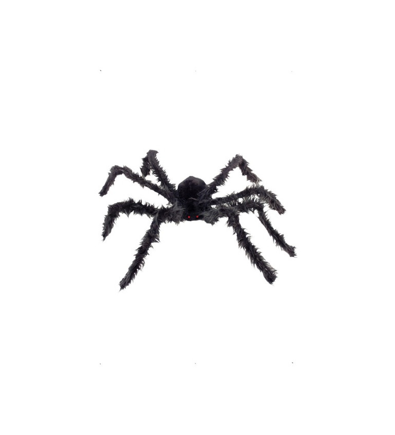 Černý giga pavouk