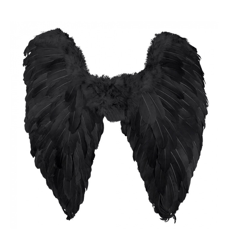 Černá křídla padlého anděla