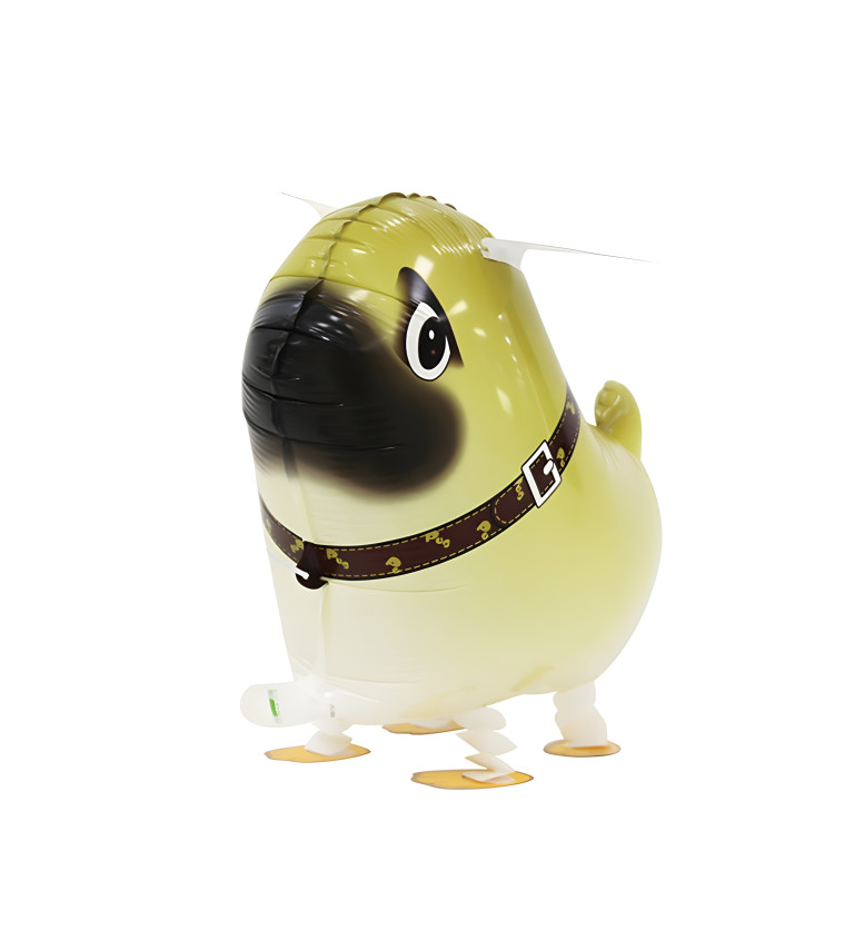 Chodící balónek mops