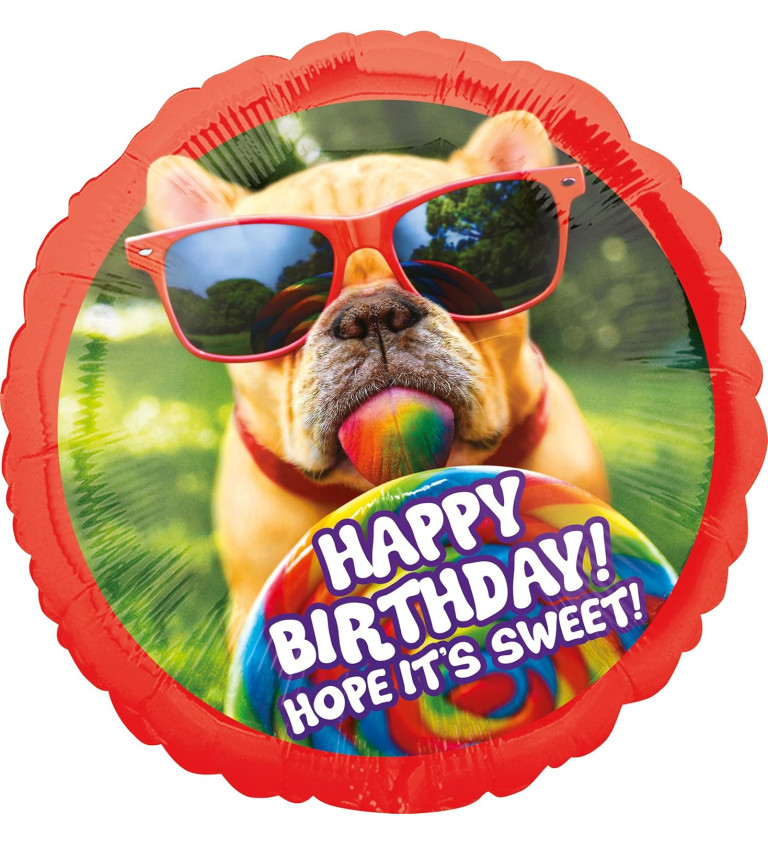 Balónek pejsek - Happy Birthday