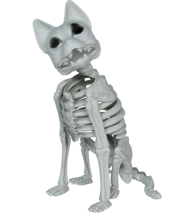 Kostra kočky 37 cm